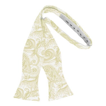 Ivory Tapestry Paisley Self Bow Tie