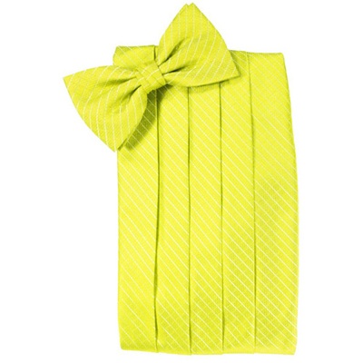 Lemon Palermo Cummerbund and Bow Tie Set