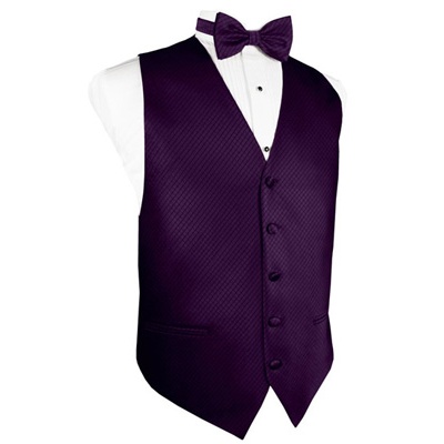 Raisin Purple Grid Pattern Tuxedo Vest