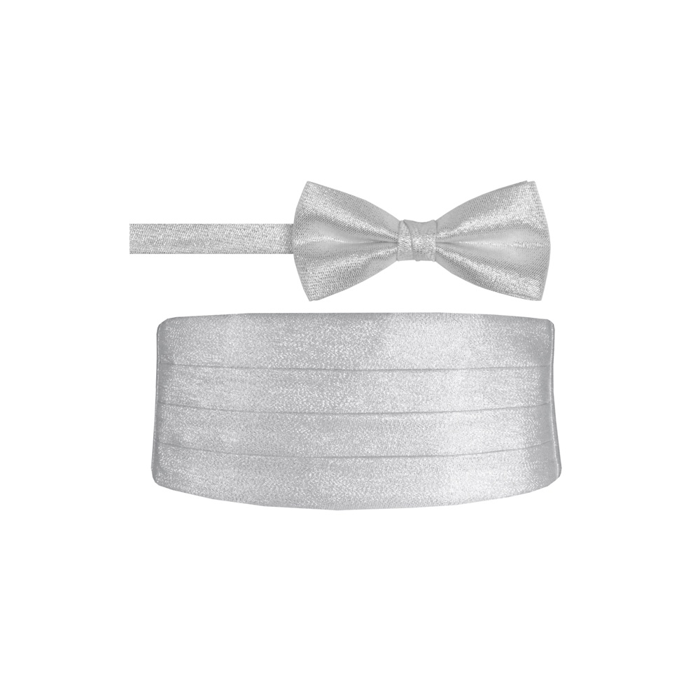 Silver Metallic Bow Tie and Cummerbund Set
