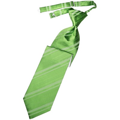Kelly Green Pre-Tied Striped Satin Necktie