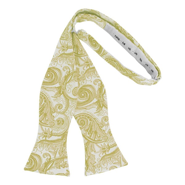 Harvest Maize Tapestry Paisley Self Bow Tie - Click Image to Close